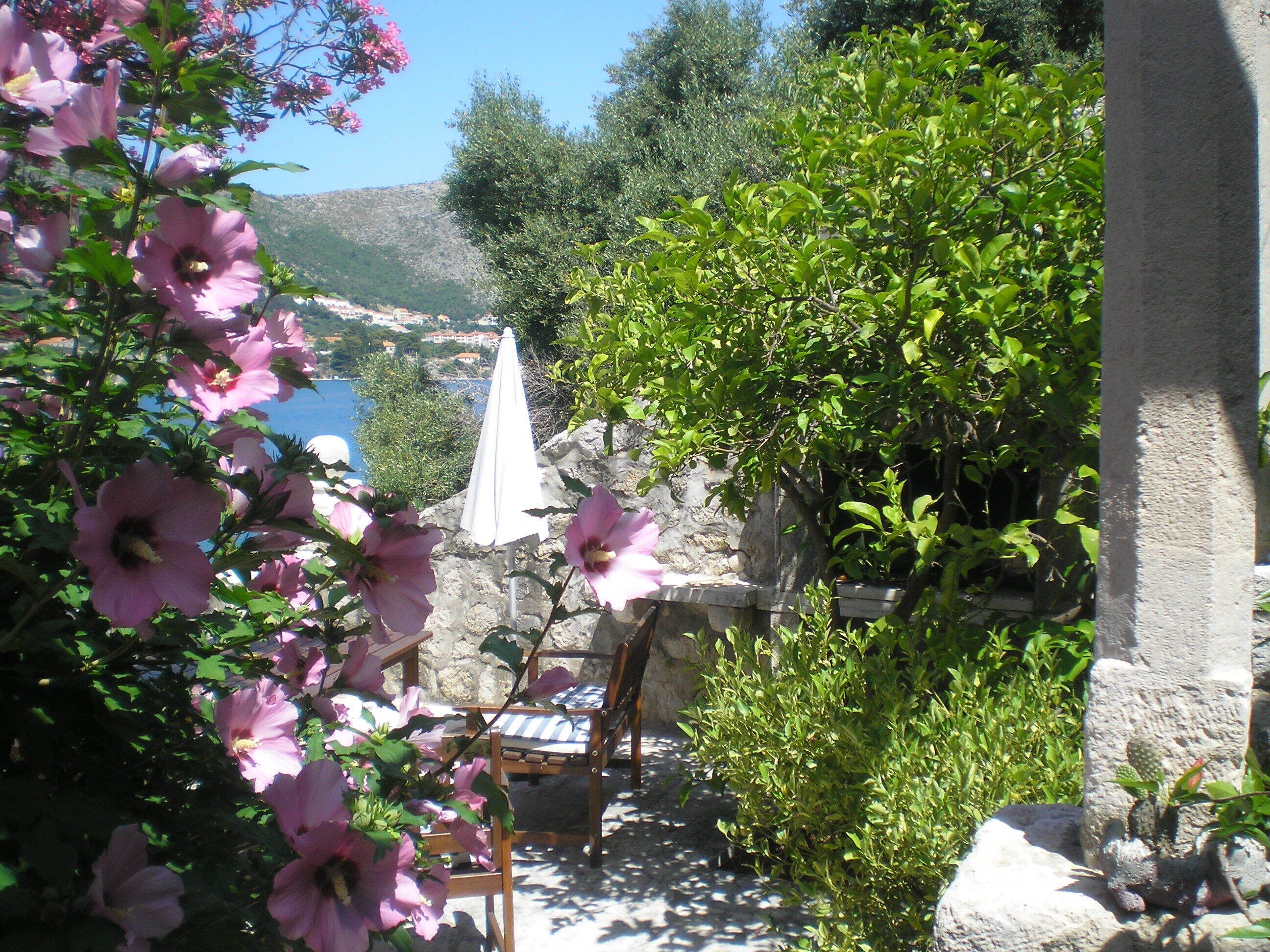 A stone patio with a wooden chair and a white umbrella, surrounded by lush greenery and pink flowers.