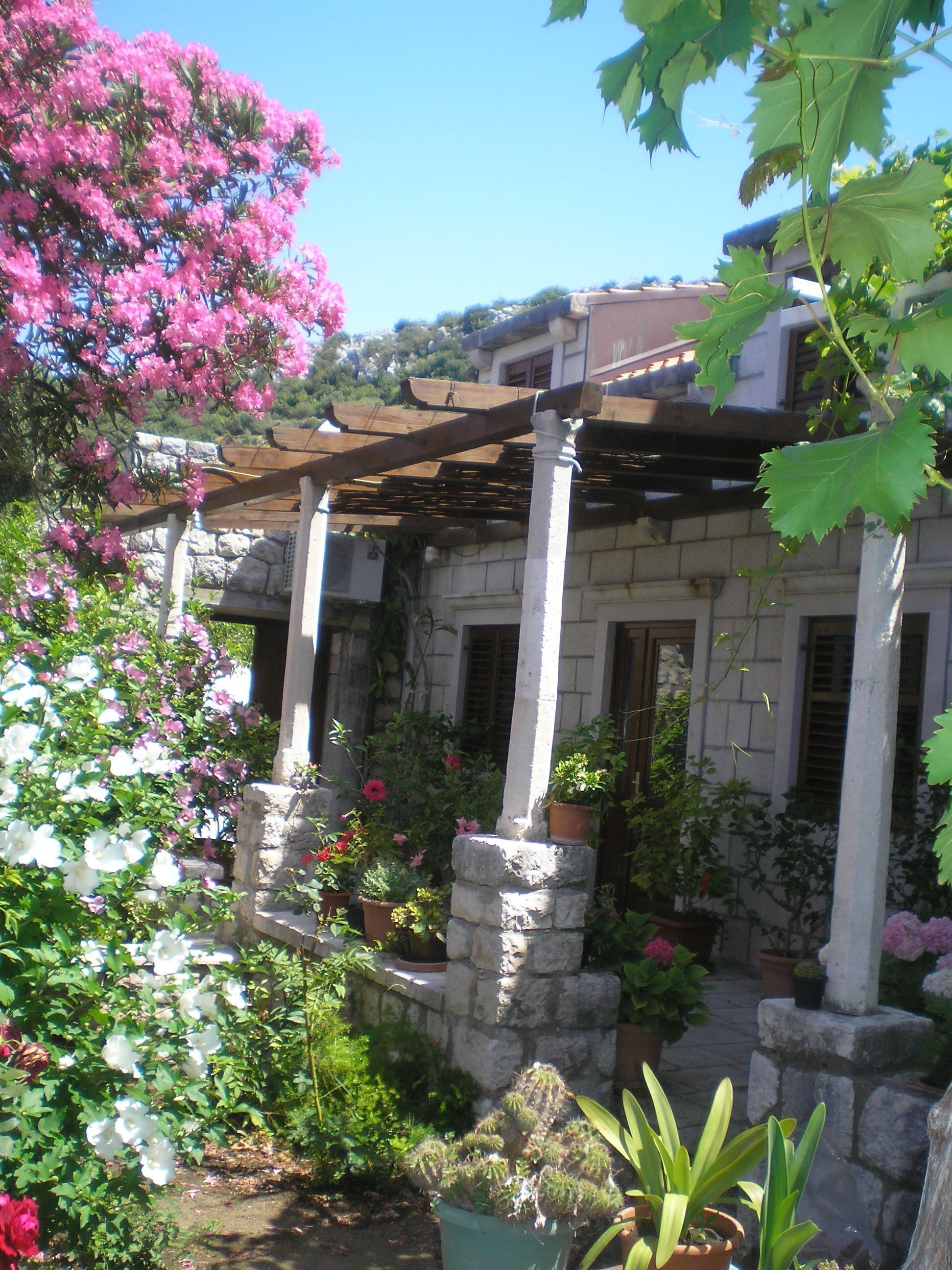A stone building with a wooden pergola, surrounded by various potted plants and flowering shrubs.
