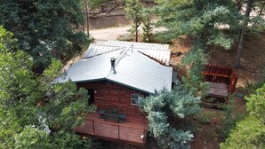A cabin with a sloped roof, surrounded by dense trees. - Bear Creek Cabin (Ruidoso)