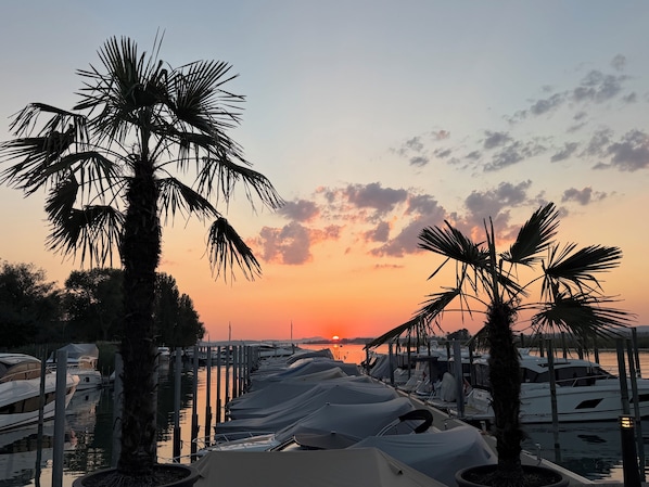 A marina at sunset with boats docked and palm trees.