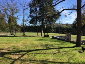 Escape to a serene park setting with a tranquil environment, perfect for relaxation or recreation.