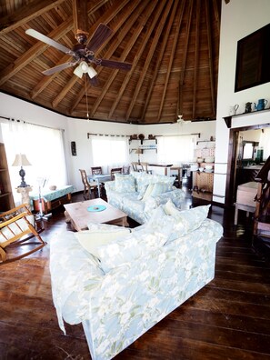 Een televisie en een filmbibliotheek