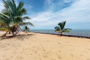 On the beach