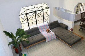 TV, books, music library