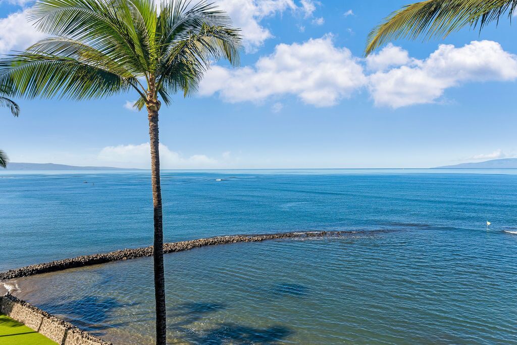 Vista despejada de una playa con una palmera y mar tranquilo.