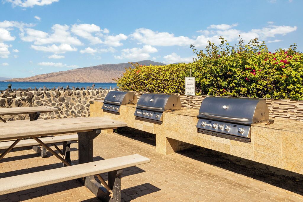 Área de barbacoa al aire libre con mesas de piedra y parrillas, con vistas a una costa pintoresca.