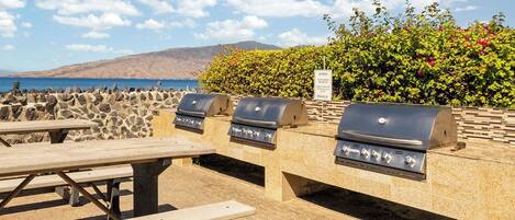 Área de barbacoa al aire libre con mesas de piedra y parrillas, con vistas a una costa pintoresca.