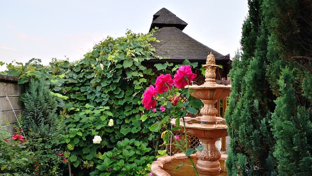 Un jardín con una fuente de piedra, abundante follaje y diversas flores.