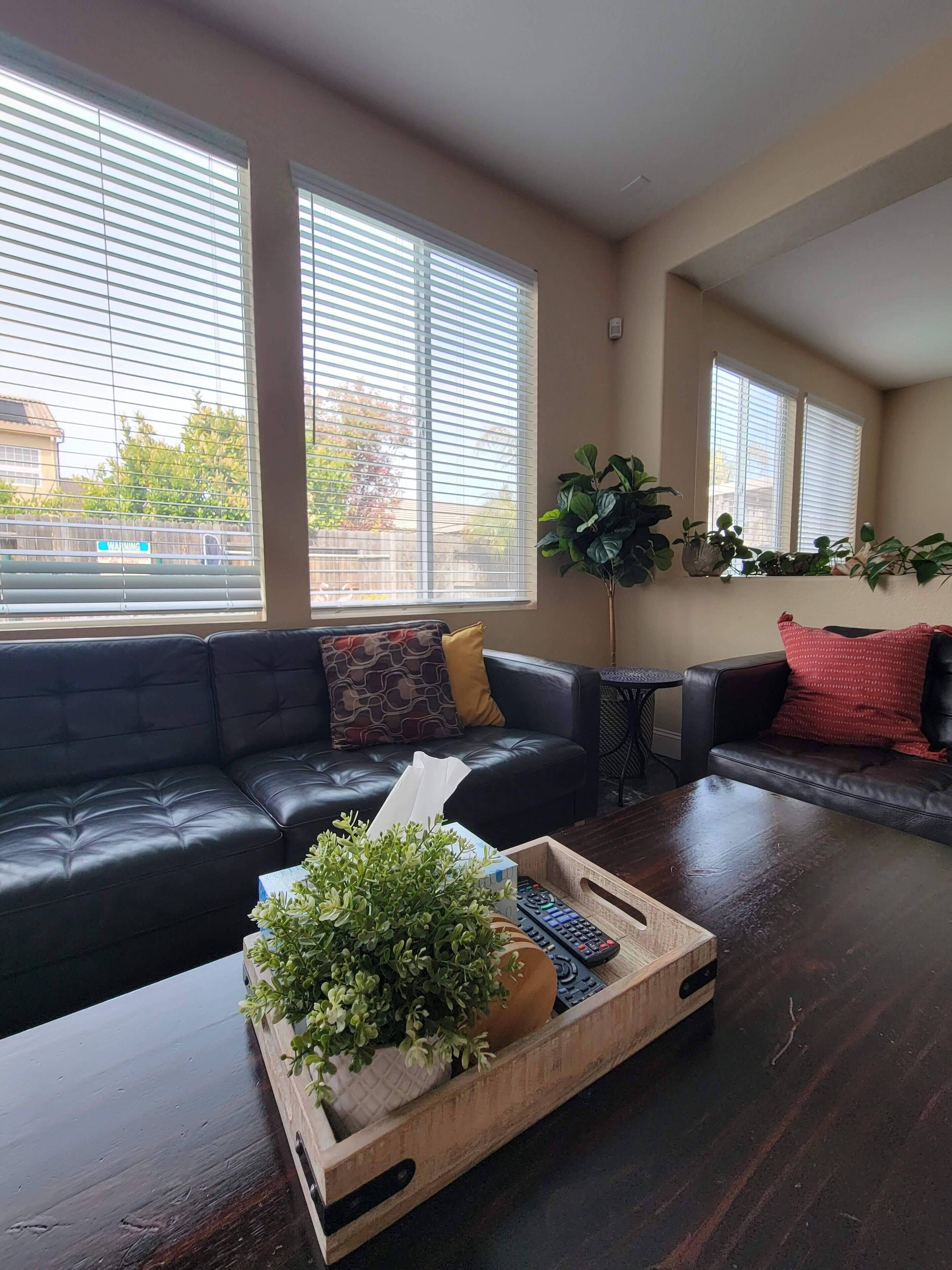 Una Smart TV, una chimenea, un reproductor de DVD