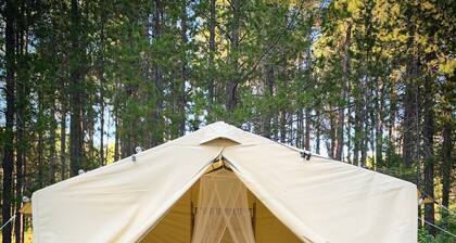 Glamping near Glacier National Park