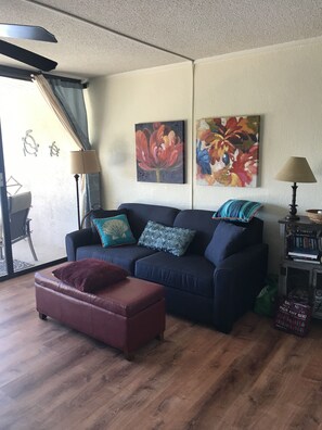 TV