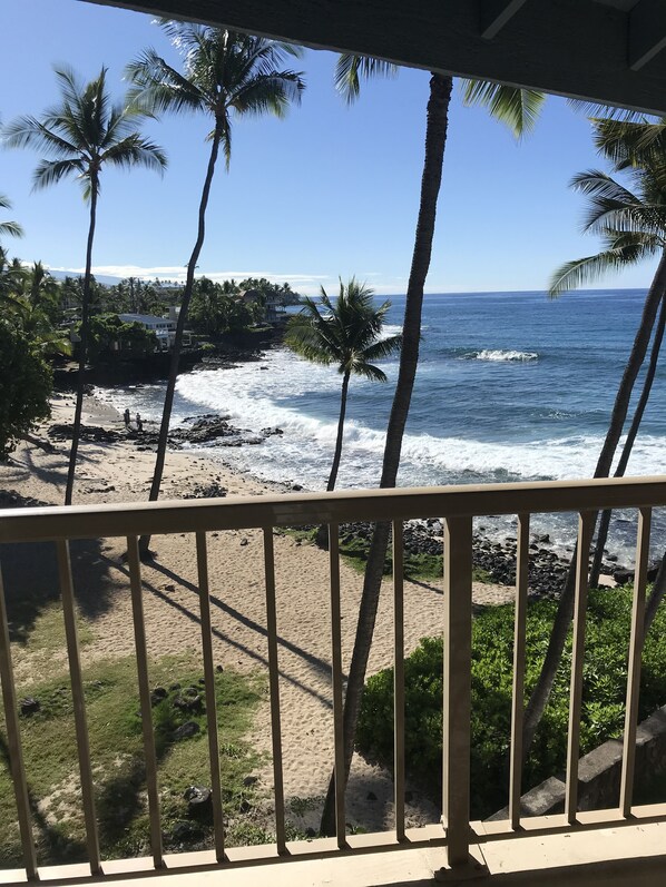 A beach view with palm trees and ocean waves.