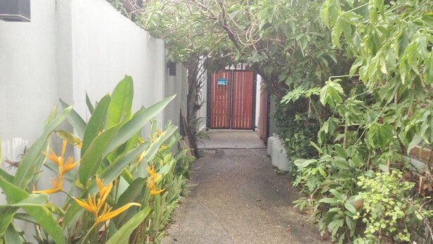 A narrow concrete pathway leading to a red gate, surrounded by lush greenery and large-leafed plants.