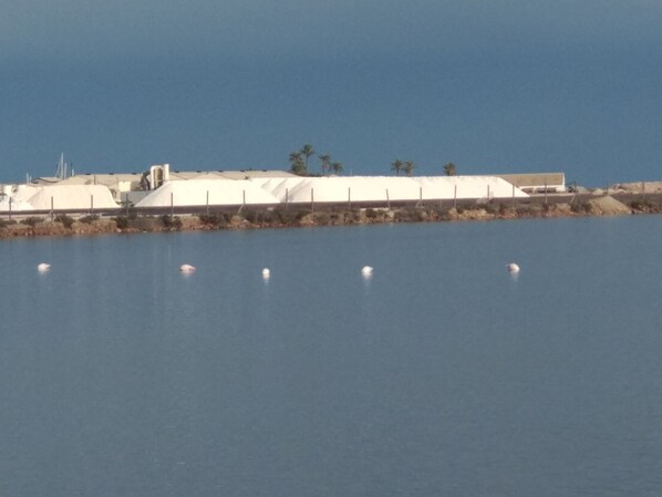 Billede uden beskrivelse, 1 af 21, knap