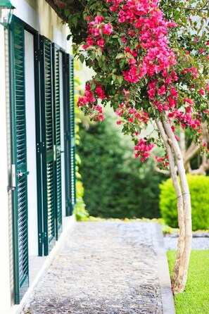 Terrein van de accommodatie