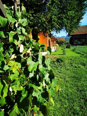 Detalhe da fachada