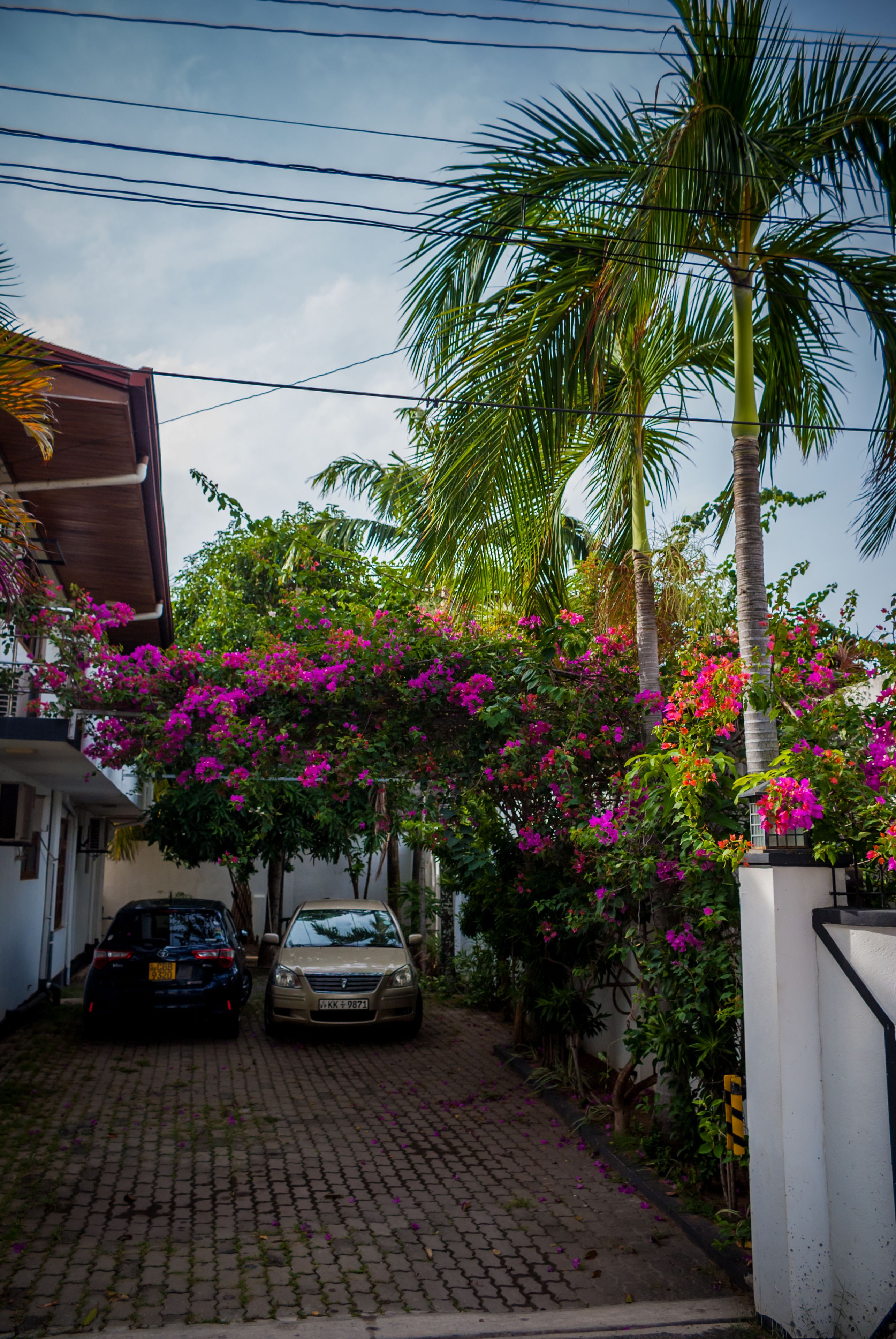 Foto - J leaf Hotel by Blue Bird