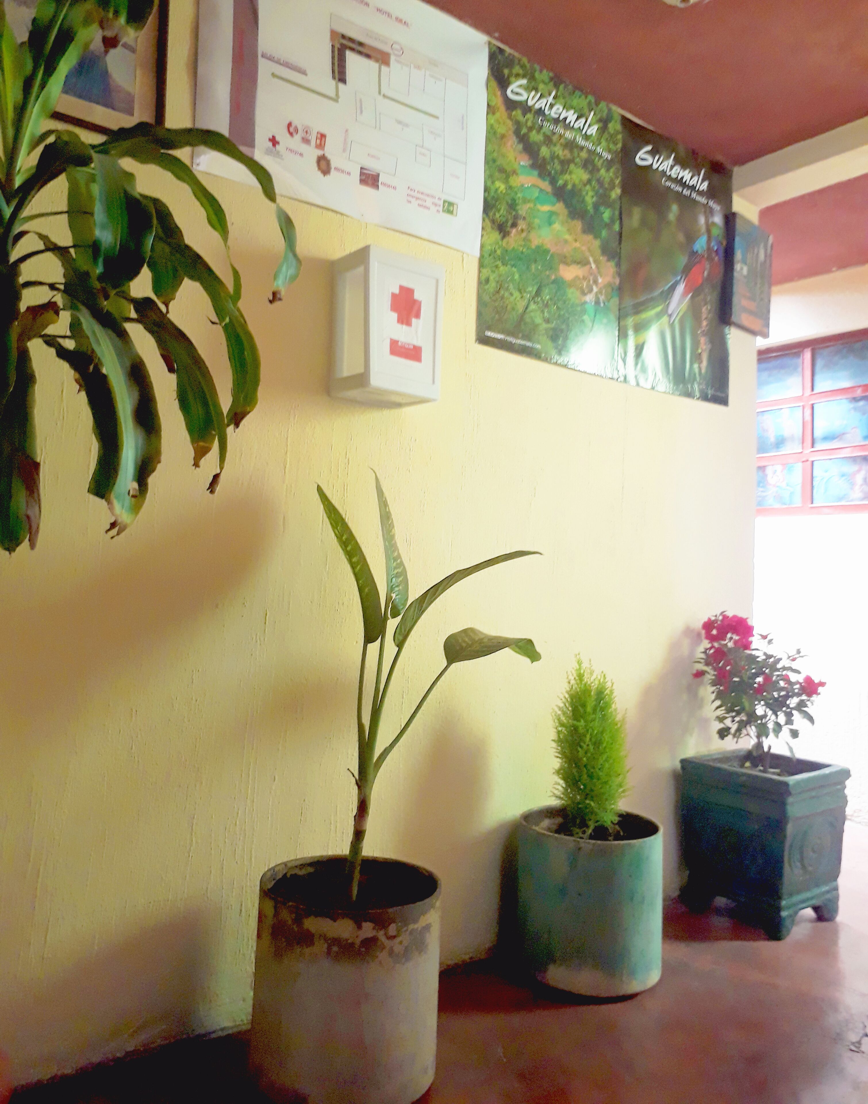 المنشأة من الداخل