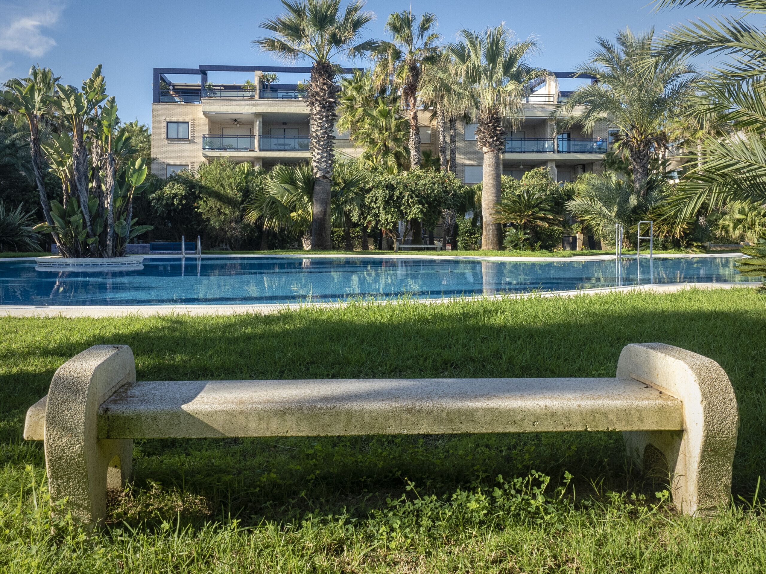 Eine Betonbank in einer grünen Wiese, im Hintergrund ein Pool und Palmen.