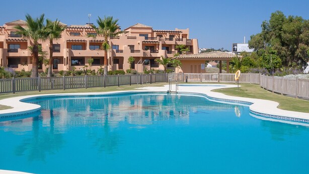 Una piscina dalle linee curve, circondata da una recinzione in legno e palme.