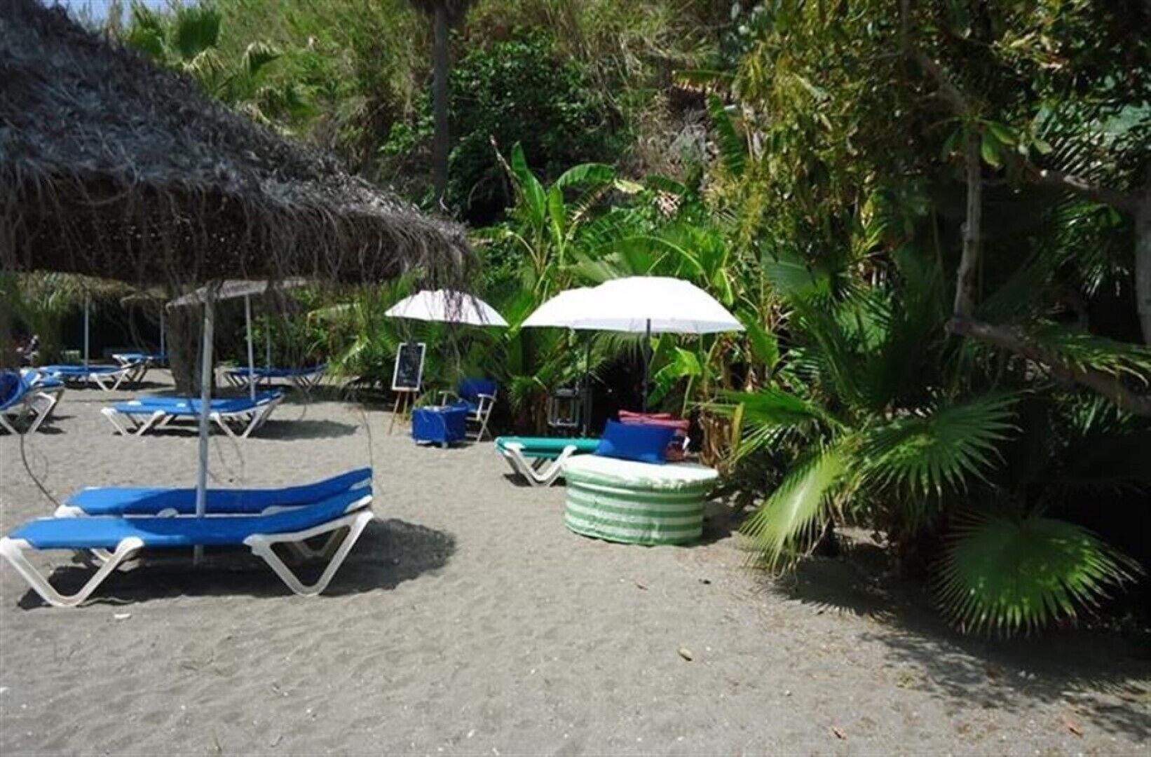 Une plage avec des chaises longues et des parasols, entourée d’une végétation tropicale.