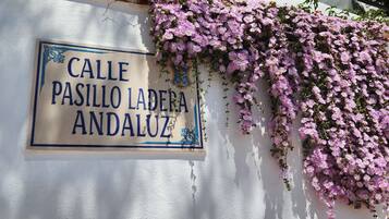 DĂ©tail de lâextĂ©rieur