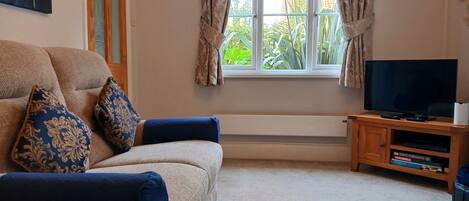 Smart-tv, eldstad, dvd-spelare och böcker