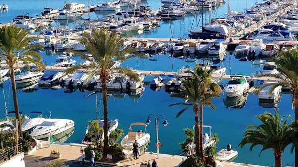 Marina