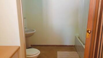 Combined shower/tub, hair dryer, towels, soap