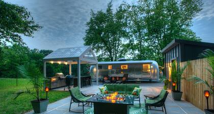 Glamper. Koira ystävällinen