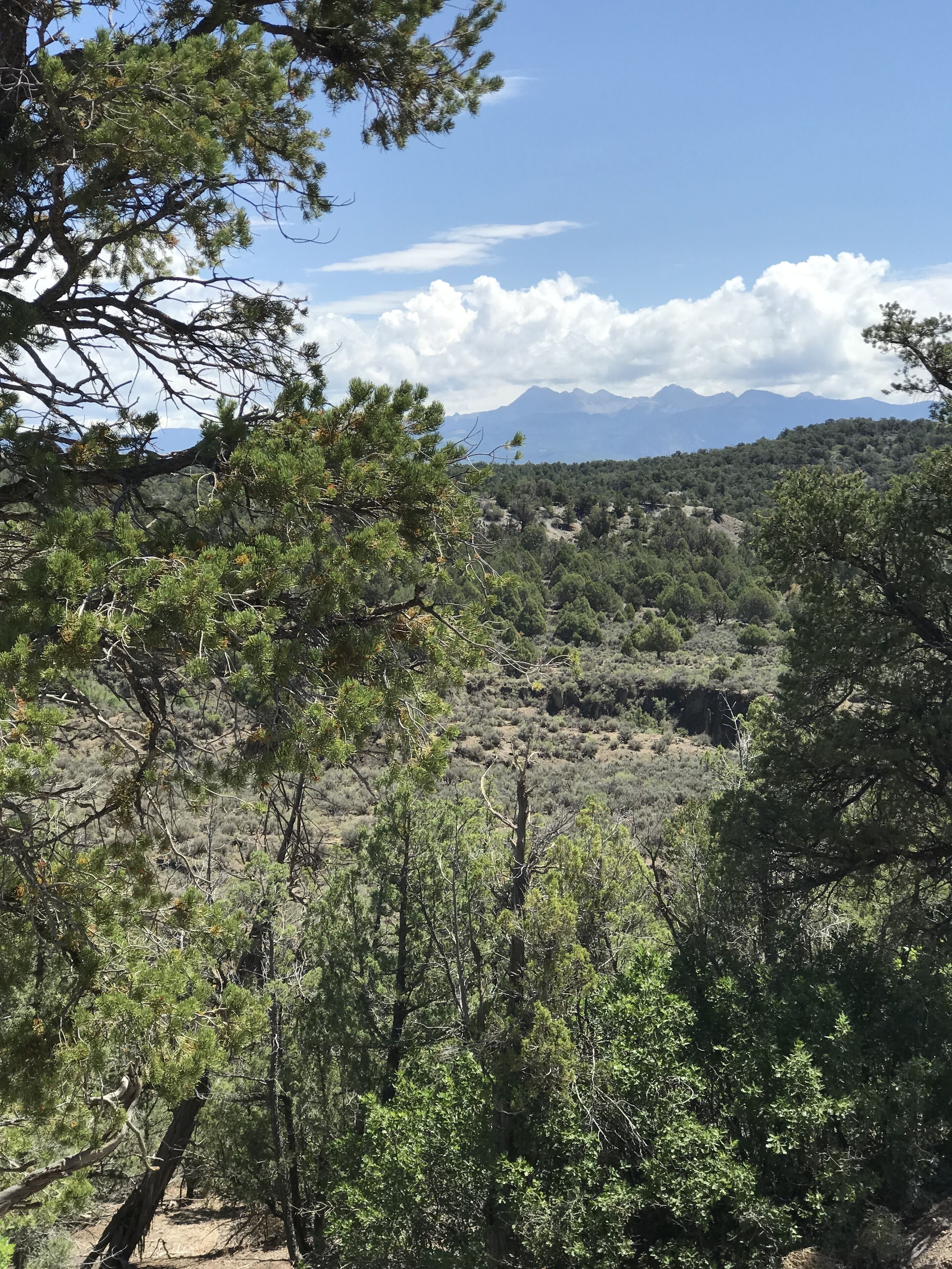 Terrain de l’hébergement 