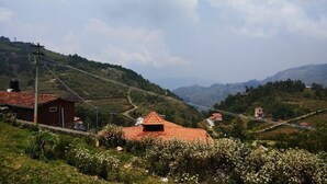 Un paysage rural avec des champs en terrasses, un petit bâtiment doté d’un toit rouge et une route sinueuse.