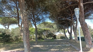 Un parque con senderos, árboles y un farol.