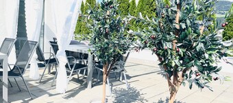 FAMILY STAY SALZBURG