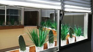 Ein Fenster mit Blick auf Zimmerpflanzen und eine Holzbank.