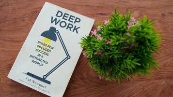 Un libro titulado 'DEEP WORK' de Cal Newport sobre una superficie de madera junto a una planta verde.