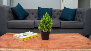 A living room with a grey sofa, two blue cushions, a small potted plant, and a book titled "DEEP WORK" on a wooden coffee table.