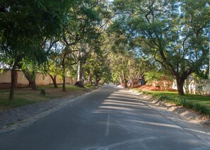 Niet-geclassificeerde afbeelding, 4 van 10, knop