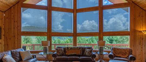 TV, fireplace, video games, DVD player