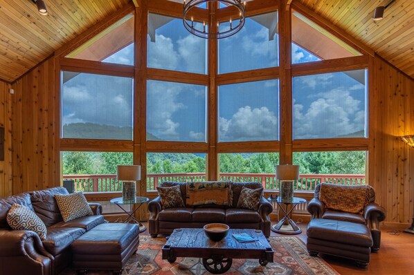 TV, fireplace, video games, DVD player