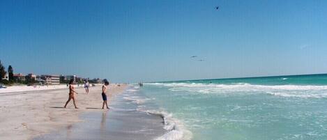 Plage à proximité, chaises longues, serviettes de plage