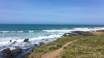 Walk along the shoreline, where waves gently break against the rocks.