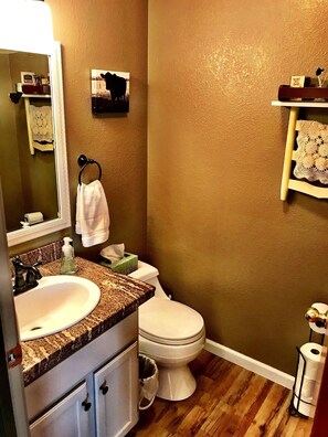 Combined shower/bathtub, hair dryer, towels, soap