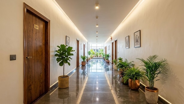 A hallway with wooden doors, potted plants, and framed artwork on the walls.