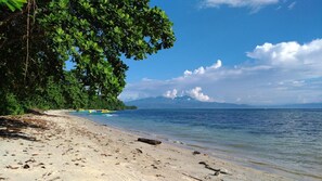 Beach - Panorama Backpackers (Pulau Bunaken)