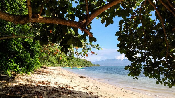 A beach with a clear view of the sea, surrounded by dense foliage and a distant mountain range. - Panorama Backpackers (Pulau Bunaken)