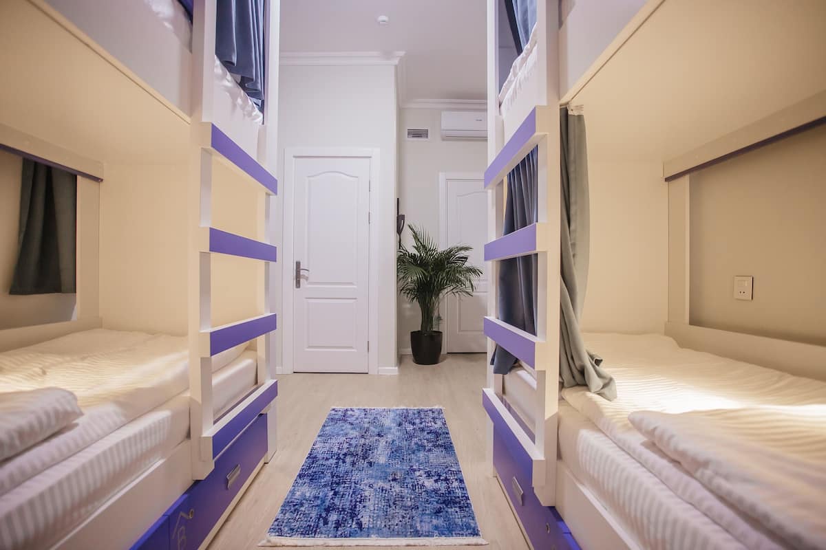 Un couloir étroit, avec des lits superposés de chaque côté, une plante en pot et un tapis bleu.