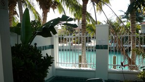 A pool area with a view of a pool, surrounded by palm trees and a white fence. - PLUNGE POOL VILLA ON BLUE WATER LAGOON DUCK Key/MARATHON, FL (Marathon)