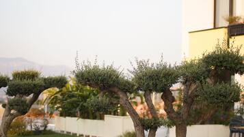 Un jardín ajardinado con setos topiarios recortados, una valla blanca y un edificio con balcones.