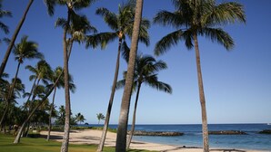 A tropical beach setting with palm trees and a clear view of the ocean.